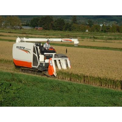 ふるさと納税 長沼町 【先行予約】特別栽培米 令和7年産北海道産ゆめぴりか 10kg精米 |  | 01