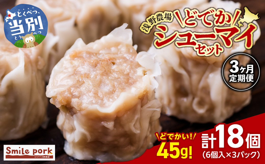 浅野農場どでかシューマイセット 計54個 (45g×18個)×3回  3ヶ月定期便 《お申し込み月の翌月から出荷開始》 豚肉 国産 ジャンボ シュウマイ 大きい BIG 大粒 肉焼売 惣菜 中華 点心 スマイル ポーク お取り寄せ グルメ しゅうまい おつまみ 食品 冷凍 お弁当 おかず