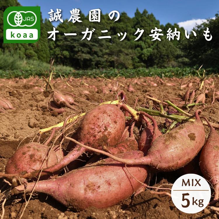 
                  種子島 産 オーガニック (有機) 種子島安納いも (誠農園) 5kg　NFN537 【350pt】 有機栽培 有機JAS認証 皮まで丸ごと 安納いも 安納芋 熟成 糖度 オーガニック 安心安全
                