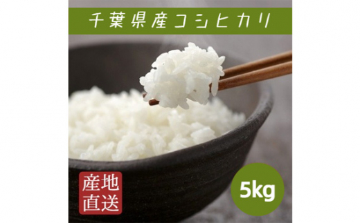 米 コシヒカリ 5kg ／ 匝瑳市産 お米 こめ コメ 白米 精米 千葉県