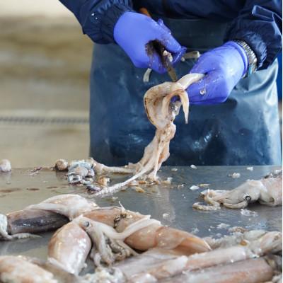 ふるさと納税 せたな町 肉厚するめ  4枚入り |  | 01