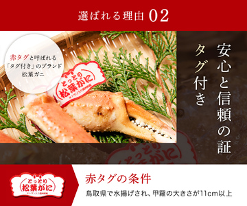 Y285 【蟹セレブ】タグ付き活〆ボイル・松葉がに（大・800ｇ前後）