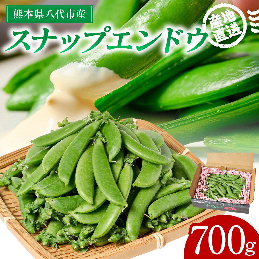 【ふるさと納税】産地直送 スナップエンドウ 700g えんどう 豆 シャキシャキ食感 甘い 旬 野菜 やさい 新鮮 熊本県 八代市 送料無料