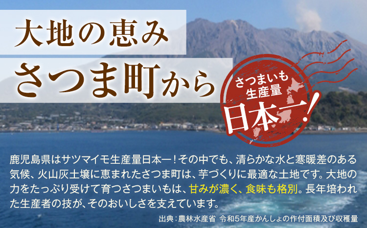 紅はるか サツマイモ 芋 10kg サイズ混合 2L-2S 弐番屋《11月上旬-2月中旬頃出荷》鹿児島県 さつま町 送料無料 さつまいも イモ 野菜 スイーツ お取り寄せグルメ
