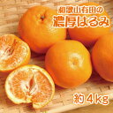 【ふるさと納税】 和歌山有田の濃厚 はるみ 約4kg (2L又は3Lサイズ)　※2025年1月下旬～2月中旬順次発送予定