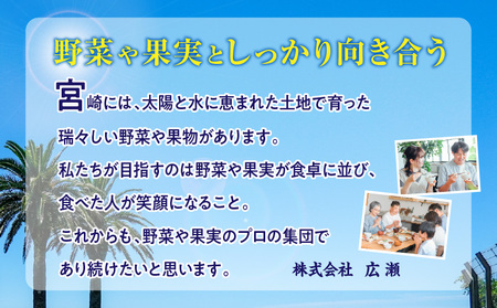 《2026年発送先行予約》【数量・期間限定】【定期便】宮崎市柑橘特産6ヶ月コース みかん ぽんかん 金柑