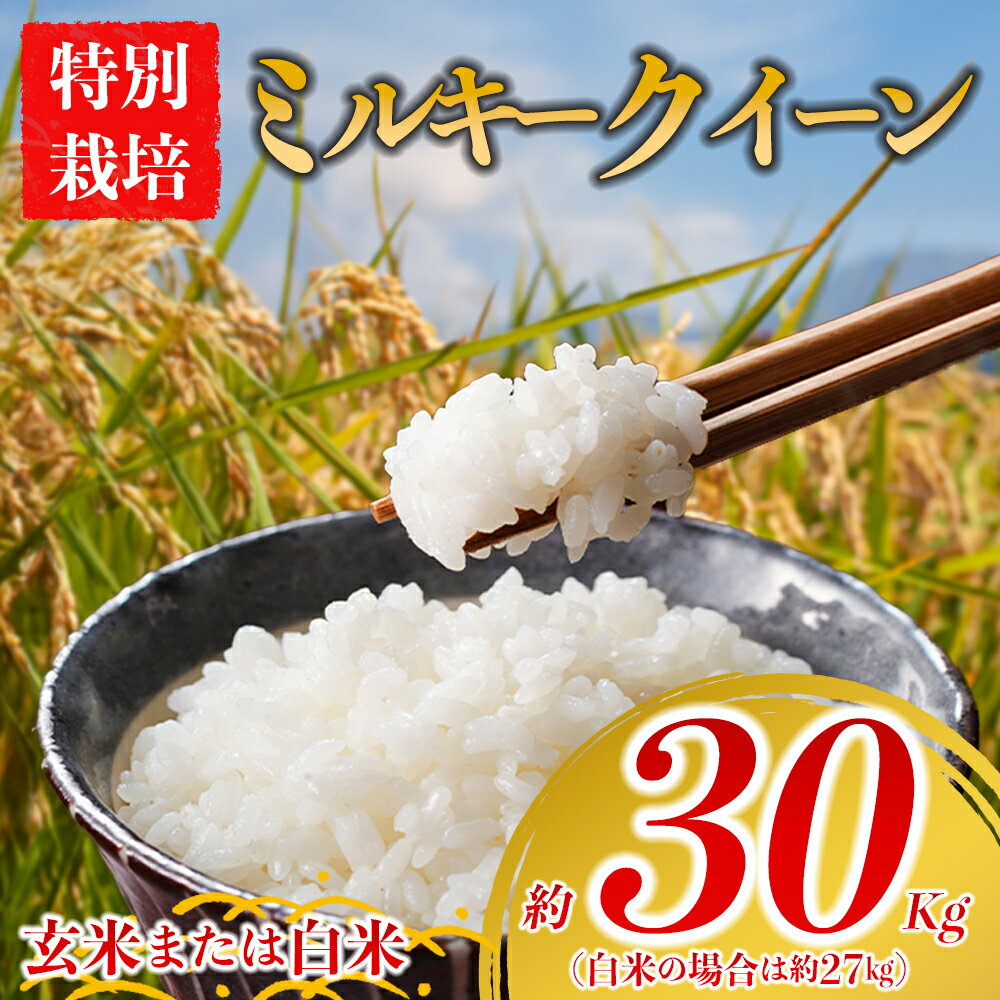 【ふるさと納税】特別栽培米 お米 米 ミルキークイーン 玄米 約30kg 白米 約27kg 令和7年産 選べる品種 玄米 白米 ふるさと納税 令和7年度 選べる 白米 こめ 阿蘇アグロスタイル 阿蘇米 米 お米 美味しい 寒暖差 湧き水 お取り寄せ 食卓 豪華 贅沢 自然 湧水 熊本県 阿蘇市