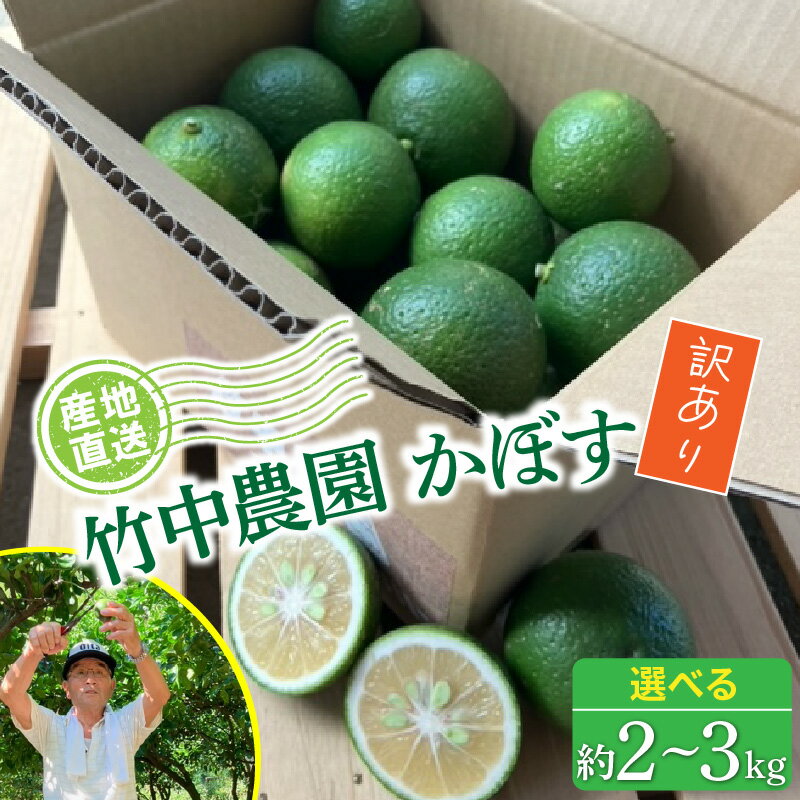 【ふるさと納税】訳あり かぼす 農家直送 竹中農園 大分県 日本一 柑橘