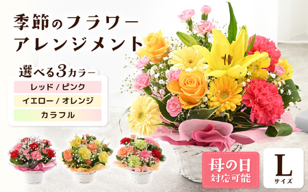 選べるカラー 季節のフラワーアレンジメント L (レッド・ピンク) （母の日遅れてごめんね） 【お花 フラワー アレジメント 花束 ギフト 生花 プレゼント 花束 花 記念日 お祝い】 [B-20701_01]
