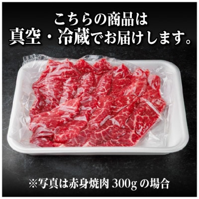 飛騨牛 赤身(焼肉・BBQ用) 約300g【冷蔵便】A4〜A5等級 黒毛和牛【配送不可地域：離島】【1646121】