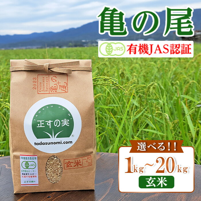【ふるさと納税】米 玄米 オーガニック 有機米 有機JAS 亀の尾 かめのお 新潟 お米 選べる 1kg 5kg 10kg 20kg 健康 腸活 美容（正すの実）