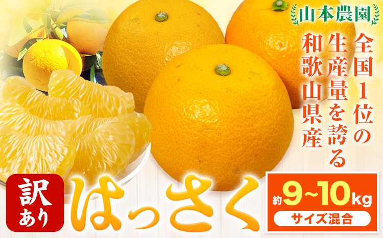 
                  【訳あり】八朔 はっさく 約9~10kg ( サイズ混合 ) 山本農園 《2027年2月上旬-4月上旬頃出荷》 和歌山県 日高川町 柑橘 フルーツ 果物
                