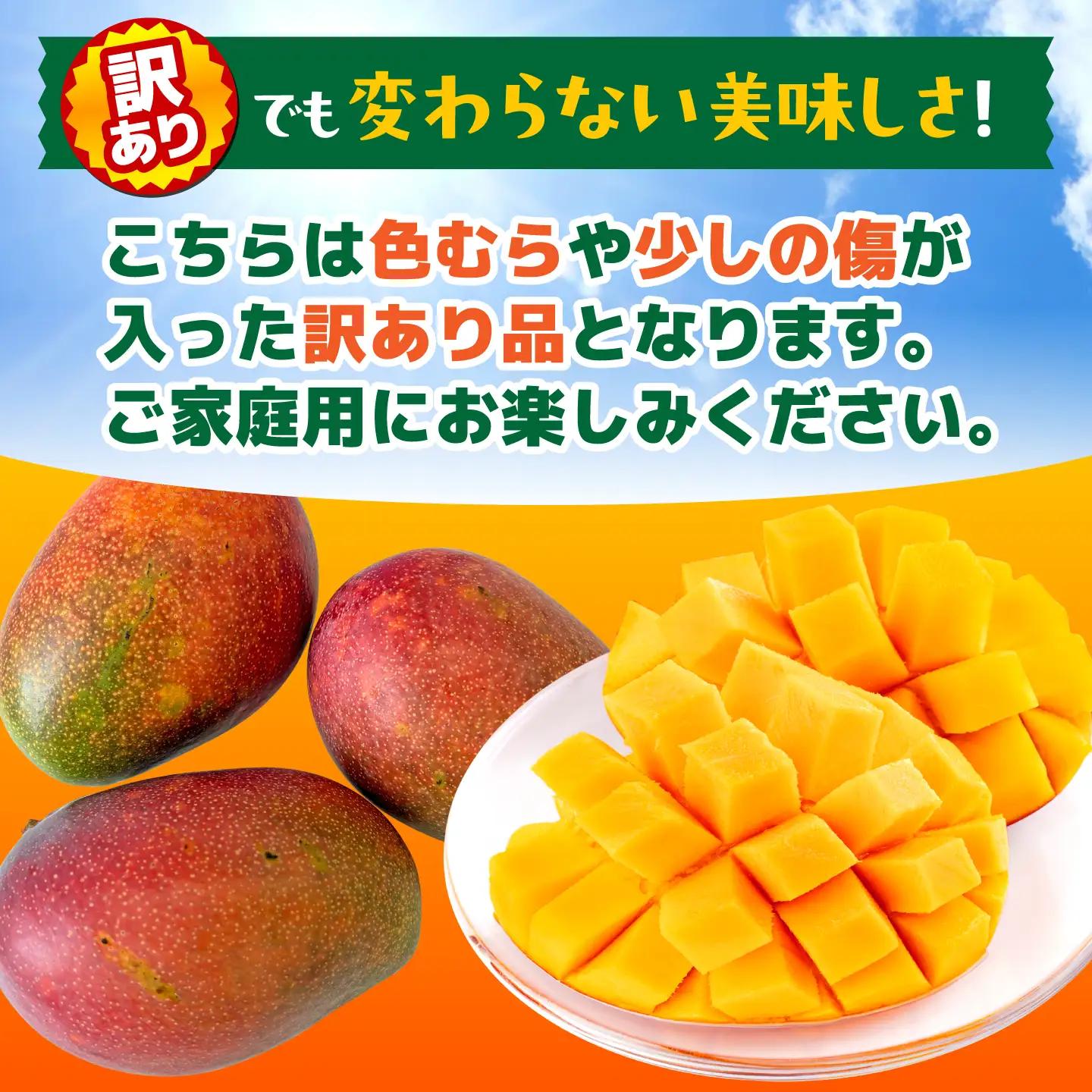 【2027年6月上旬から順次発送】友枝マンゴー農園の完熟訳ありマンゴー約2kg AYDF002