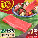 【ふるさと納税】【全12回定期便】【訳あり】天然 本まぐろ 中トロスジ（約1kg） マグロ 定期 鮪 まぐろ 中とろ 刺身 定期便 横須賀 【本まぐろ直売所】[AKAK070]