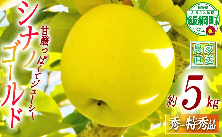 
                  りんご シナノゴールド 秀 ～ 特秀 5kg 永正の地蔵尊神谷農園 沖縄県への配送不可 2026年11月中旬頃から2026年12月下旬頃まで順次発送予定 令和8年度収穫分 信州 果物 フルーツ リンゴ 林檎 長野 予約 農家直送 長野県 飯綱町 [1253]
                