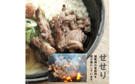 国産小麦 純手打ち うどんセット(2~3人前) 生麺 生うどん 手打ち麺 せせり 冷凍 セット 竹松うどん 京都 綾部