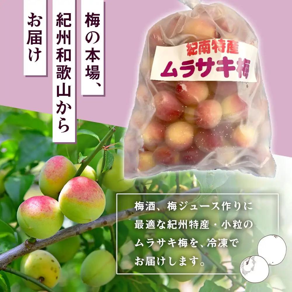 ［数量限定］綺麗な紫色のジュースができます！紀州特産 冷凍紫梅 2kg