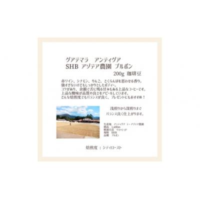 ふるさと納税 飯能市 【上田珈琲豆焙煎堂】珈琲豆 中深煎り セット 200g×2種 セット【豆】[52210994] |  | 02