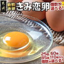 新鮮赤卵「きみ恋卵」6.5kgセット