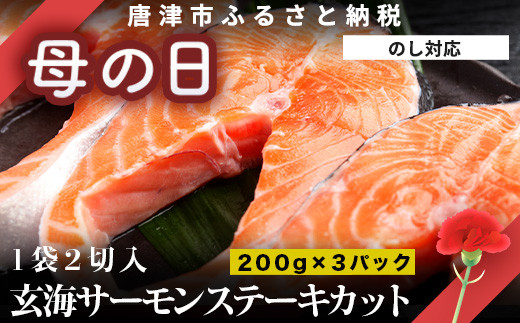 
「母の日」玄海サーモンステーキカット切身 200g×3パック(合計600g) おさかな村 お弁当 おかず
