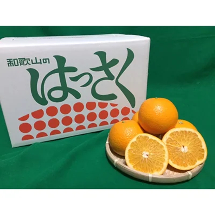 【まごころ手選別】有田の八朔(はっさく)約4kg(S～4Lサイズ混合)家庭用 ※2026年1月上旬～3月下旬頃に順次発送予定