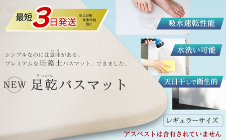 NEW 足乾（そっかん）バスマット_レギュラーサイズ｜ 珪藻土 マット
