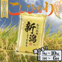 【ふるさと納税】食味鑑定士厳選 無洗米 5kg 10kg 容量と配送回数が選べる 新潟県上越市産コシヒカリ こしひかり 米 お米 こめ おすすめ 新潟 新潟県産 にいがた 上越 上越産