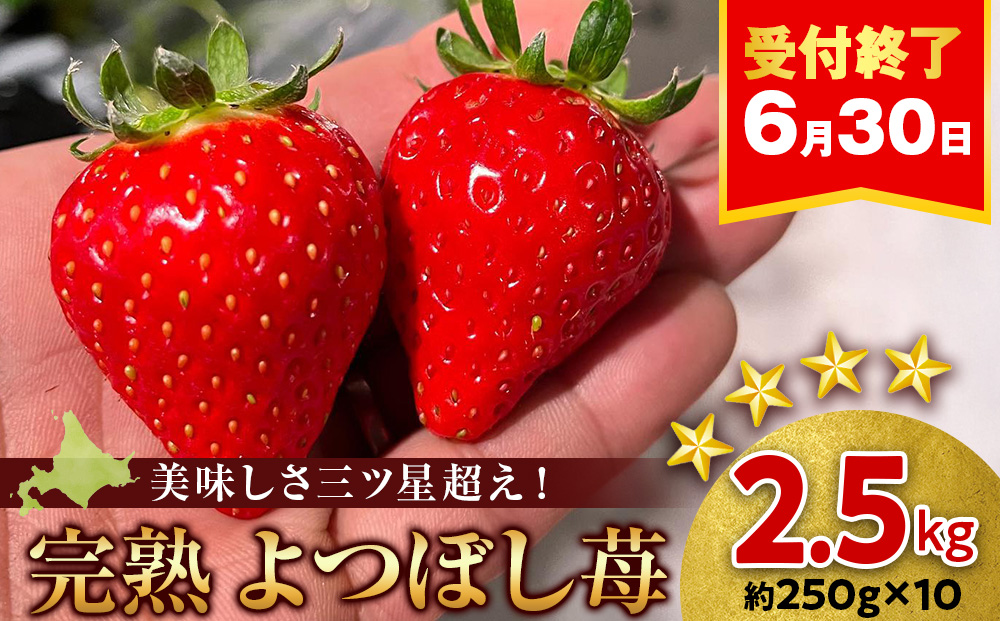 北海道産 完熟よつぼし苺(約250g×10パック)
