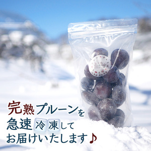 冷凍プルーン 500g 2パック 1kg 冷凍プルーン