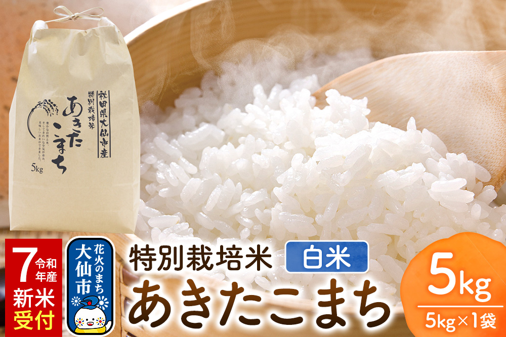 米《令和7年産 新米受付》特別栽培米 あきたこまち【精白米】5kg×1袋 ローズメイ 秋田県 大仙市産