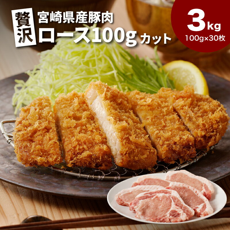 宮崎県産豚肉ロース100gカット30枚