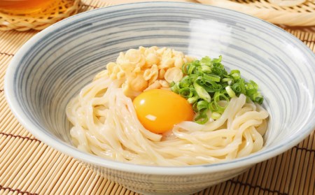 ＜養生麺セット 12個入り＞ K10_0003_1