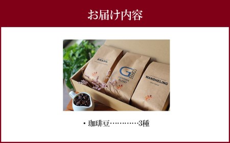 コーヒー 豆 コーヒー[焼き立て 自家焙煎 珈琲豆 おまかせ 3種類 セット 珈琲 コーヒー豆 コーヒー生豆 珈琲生豆 生豆 自家焙煎珈琲 自家焙煎珈琲豆 ロースター 焙煎 詰め合わせ 飲み比べ グル