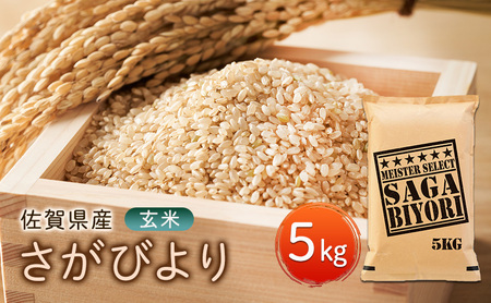 さがびより 玄米 お米マイスター厳選 佐賀県産 さがびより【5kg】