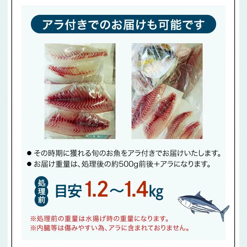 S121-003A_刺身コース
