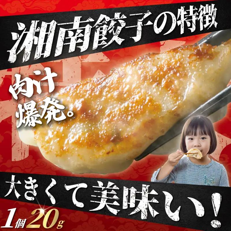 ブランド豚使用 湘南生餃子 192個 約3.8kg【 餃子 ぎょうざ 】