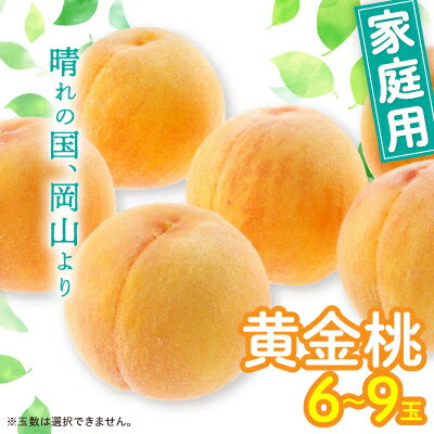 【ふるさと納税】黄金桃(ご家庭用)6～9玉入り　【2026年8月末頃より発送予定】_ 桃 ふるさと納税 先行予約 もも モモ 岡山の桃 夏限定 人気 送料無料 岡山県 津山市 果物 くだもの フルーツ 産直 産地直送 黄金桃 家庭用 自宅用 青果 【配送不可地域：離島】【1460796】
