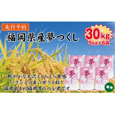 ふるさと納税 北九州市 【令和7年産新米・先行予約】【食味鑑定士厳選】福岡県産 夢つくし30kg(5kg×6袋)(北九州市)