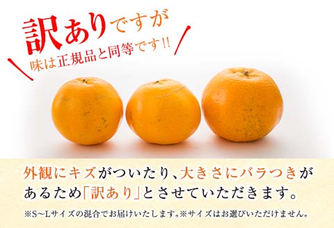 先行予約 訳あり 数量限定 宮浦 ポンカン 計5kg以上 フルーツ 果物 くだもの 柑橘 みかん 国産 食品 期間限定 訳アリ おすすめ デザート おやつ フルーツサンド ジュース ご家庭用 ご自宅用