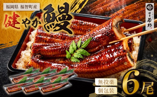 Z61-69 健やか鰻 国産うなぎ蒲焼（無頭）6尾（計930g以上） 九州産 国産鰻 うなぎ ウナギ 鰻 人気 おすすめ ひつまぶし 鰻 蒲焼き タレ 山椒 ランキング 鰻 冷凍 うな重 ひつまぶし うなぎ 福智町 鰻蒲焼き うな丼 丑の日