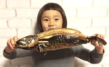 【郷土料理】焼さば押し寿し　4本