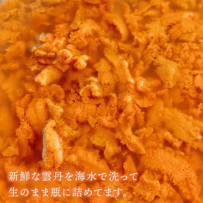 生うに 1本 [JBD006] 紫うに