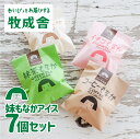 【ふるさと納税】訳あり＜牧成舎＞飛騨の手焼き最中アイス ミニサイズ 60ml×7個 妹最中 モナカ おまかせセット 訳アリ わけあり ワケアリ [Q291x] スイーツ プレゼント 《hida0307》