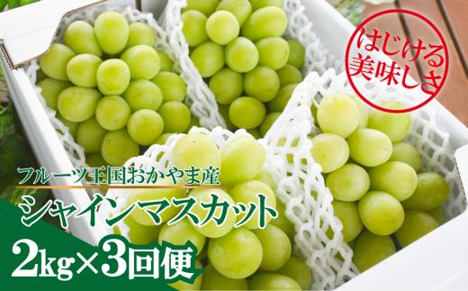KF-T047-02【きよとうファーム】岡山のシャインマスカットを楽しむ満足3回便！3-5房入×3回/全便計6.0kg~ (定期便)(岡山県産)