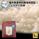 【ふるさと納税】【令和6年産 新米】【最高ランク】福井県産特別栽培米認証1こしひかり 白米3kg 若狭の恵|コシヒカリ コメ 白米 精米 3キロ ご飯 ごはん おにぎり 弁当 厳選 一等米 ブランド米 産地 直送 JGAP 認証 送料無料[A-002063]