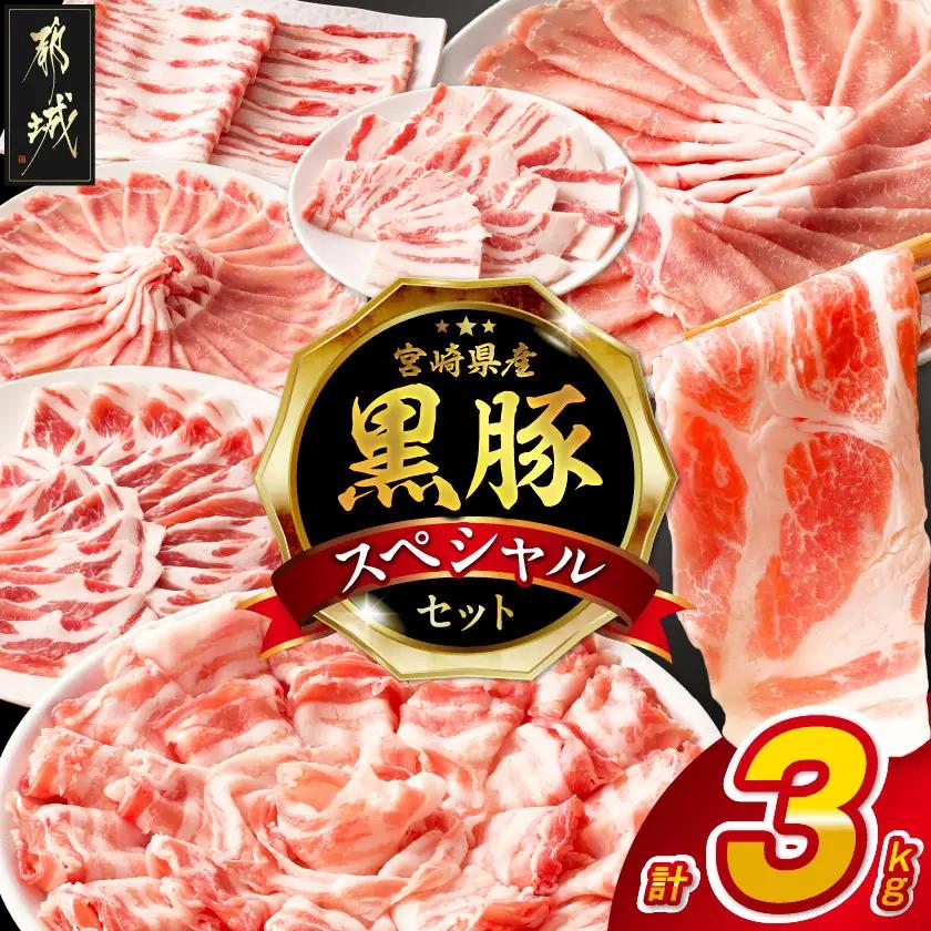 宮崎県産黒豚3kgセット〔M6-005〕_(都城市)