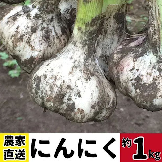 【A93001】農家直送 鹿児島県産 にんにく(計1kg)