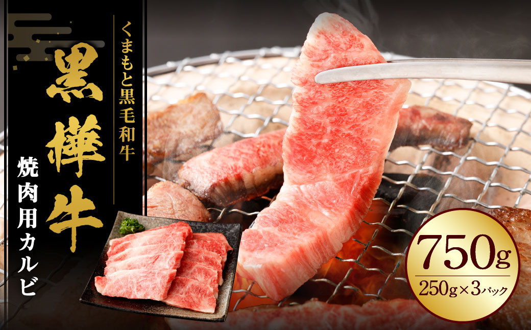 
                  黒樺牛 焼肉用カルビ 750g （250g×3パック） 黒毛和牛 焼き肉 牛肉 冷凍
                