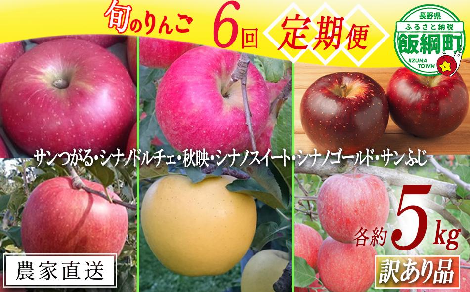 旬のりんご 【 定期便 】 訳あり 5kg × 6回 マルヤマフルーツ農園 沖縄県配送不可 2024年9月上旬頃～12月中旬頃まで発送予定 令和6年度収穫分 減農薬 長野 飯綱町 [1081]