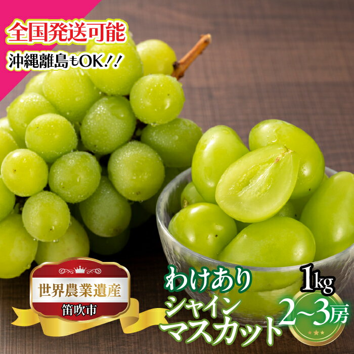 【ふるさと納税】【2026年発送★先行予約】山梨県笛吹市産　わけありシャインマスカット　1kg　2房から3房 ふるさと納税 ぶどう シャインマスカット 笛吹市 国産 人気 訳あり 期間限定 果物 フルーツ 旬 山梨県 送料無料 223-008